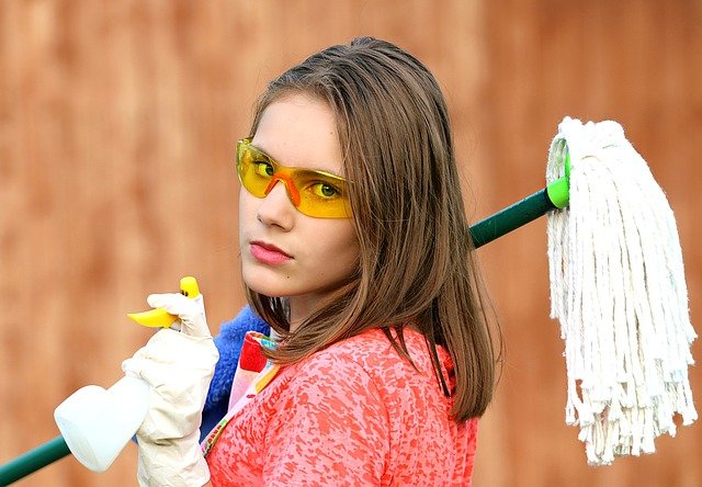 Vaucluse cleaning services