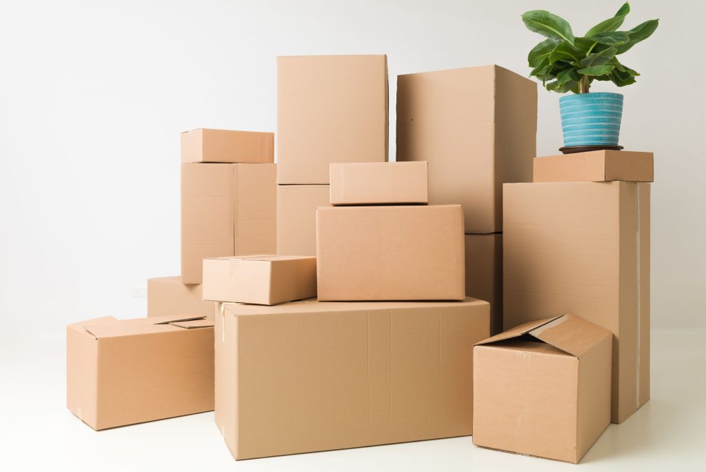 End of Lease Cleaning in Lewisham