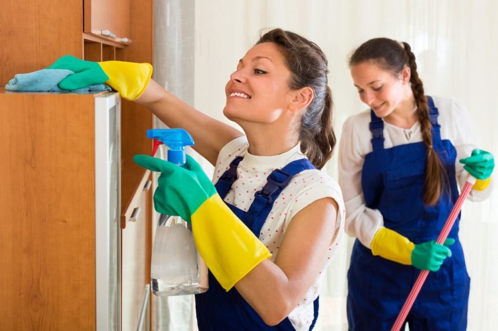 House Cleaning in Mascot