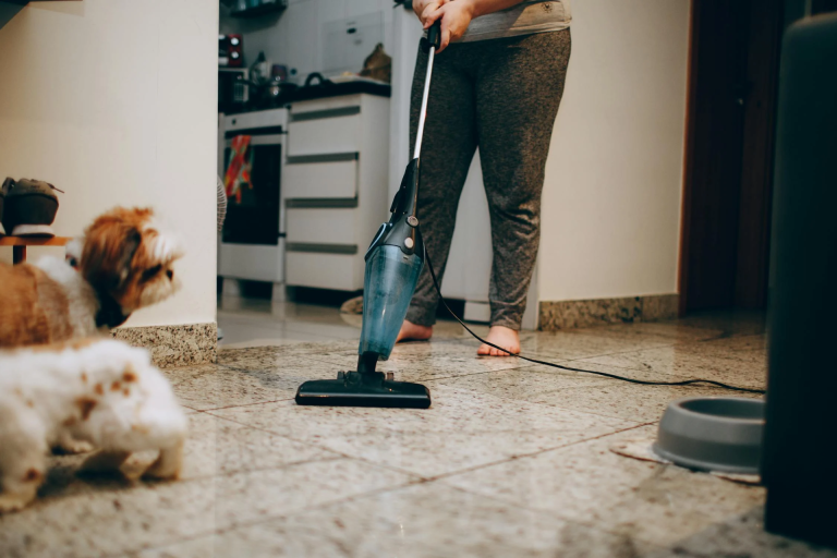 End of Lease Cleaning for Pet Owners: Removing Stains and Odors