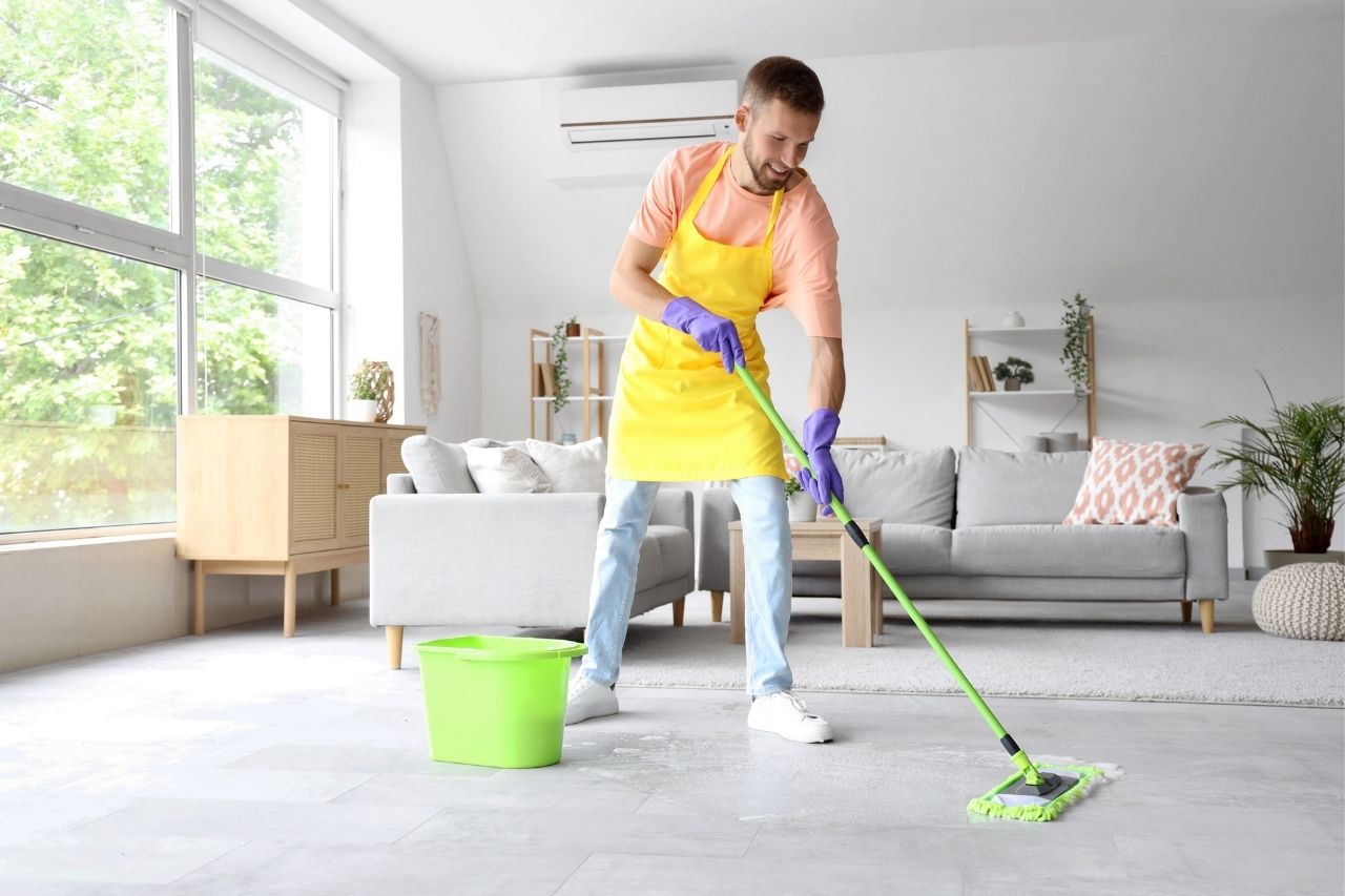 regular house cleaning