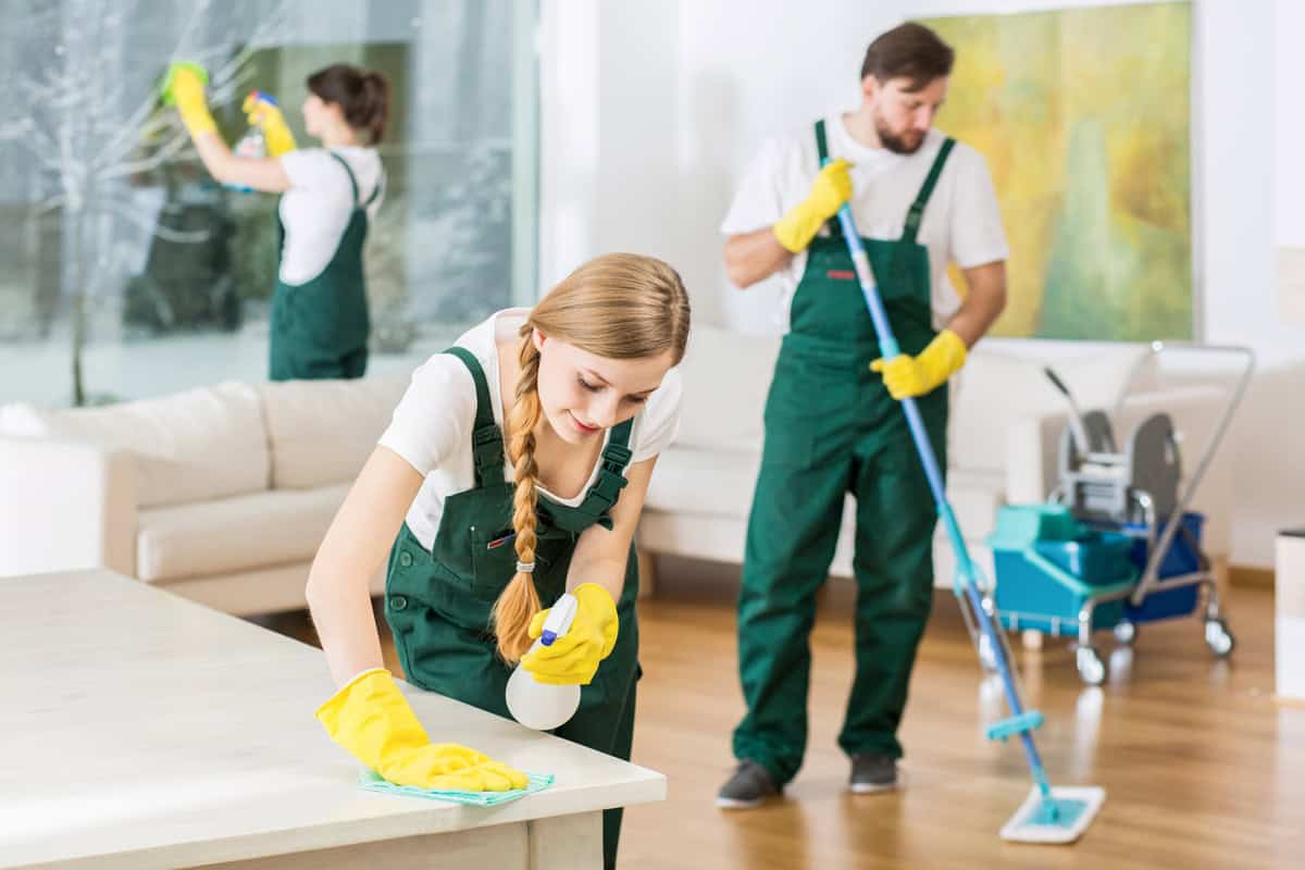 Professional Cleaning Services