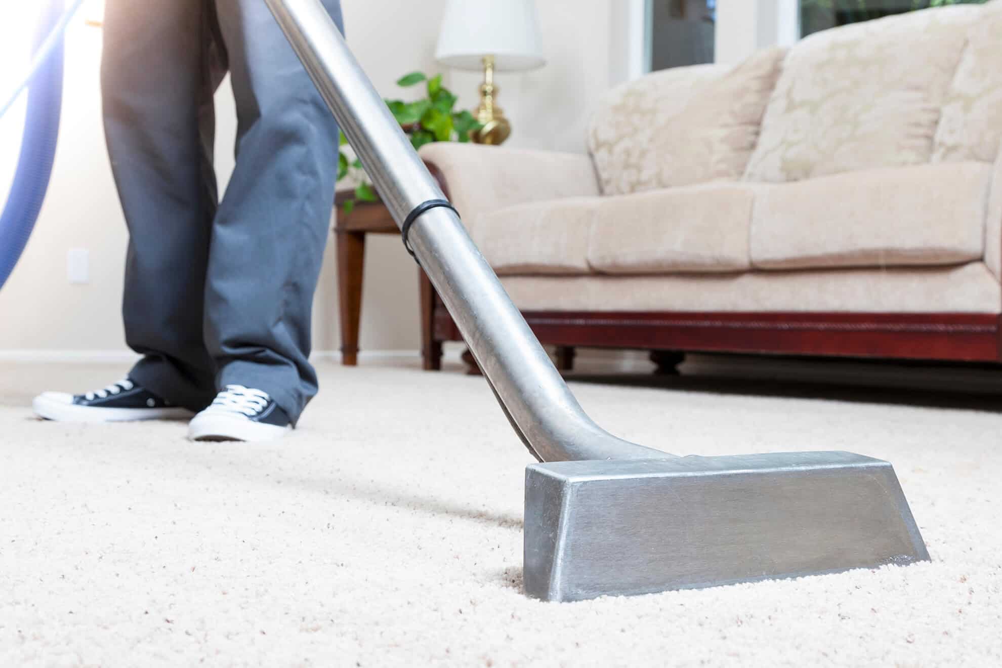 Why go for Professional Autumn Cleaning?