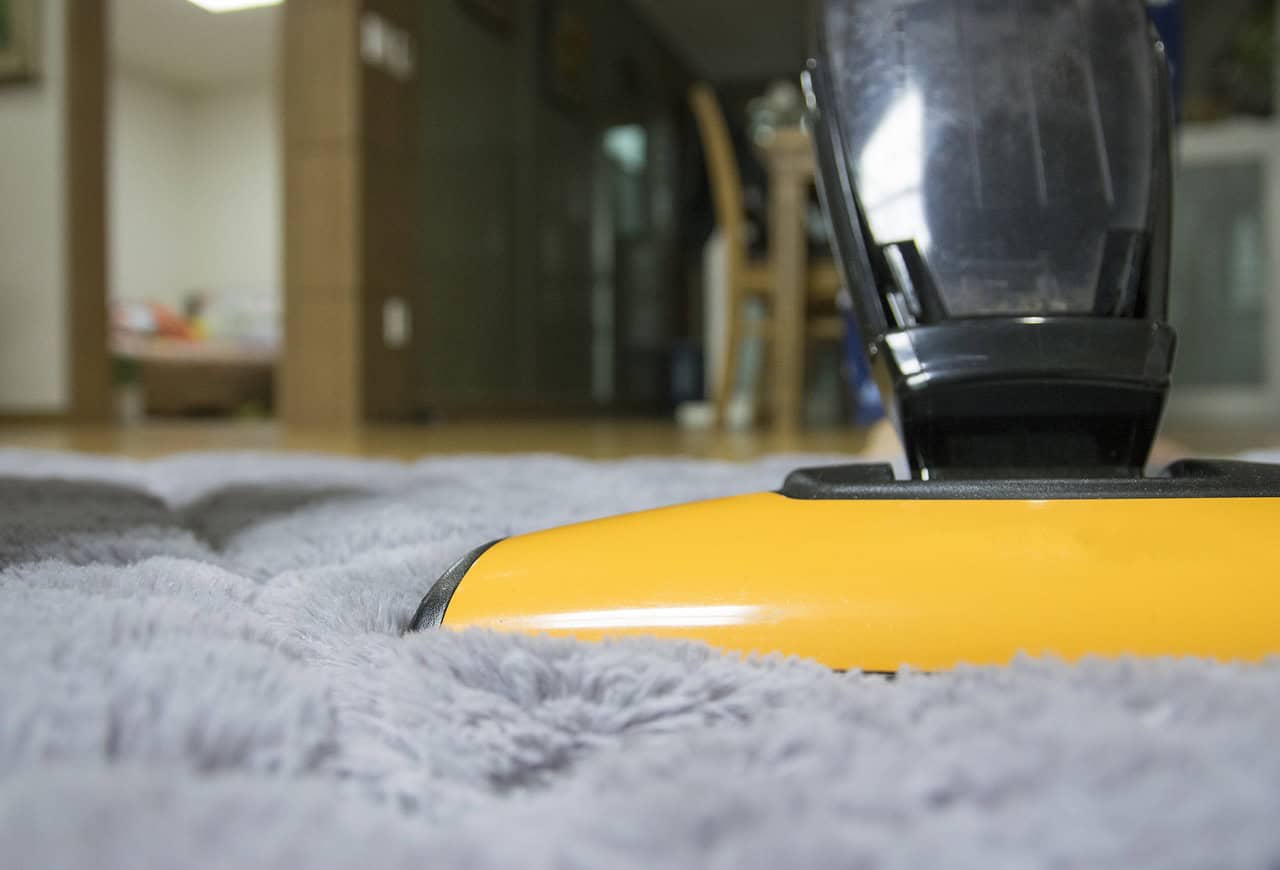 Hire Professional House Cleaners to Get Rid of Pet Hair in Your Home