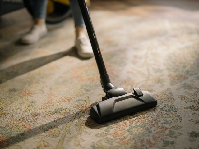 Cleaning services in Curl Curl