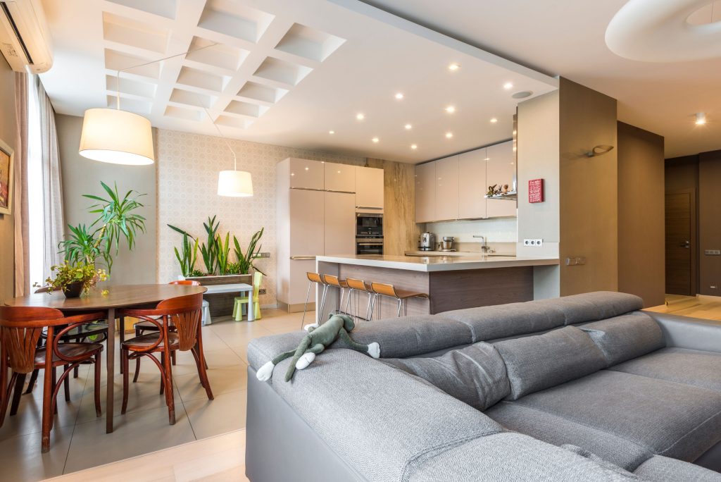Cleaning Services in Haberfield