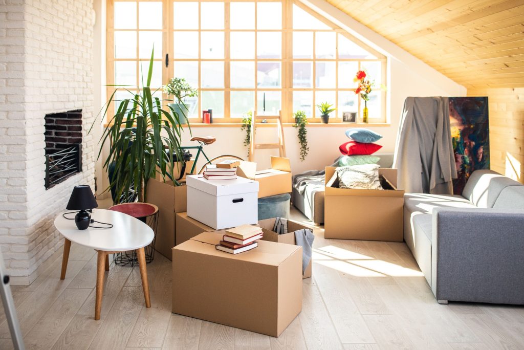 Exit Cleaning Birchgrove