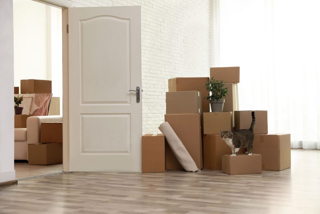 End of Lease Cleaning in Ashbury