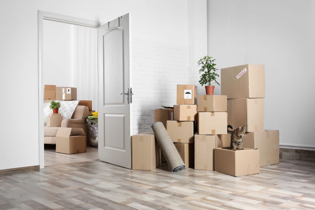 End of Lease Cleaning Services Castle Cove