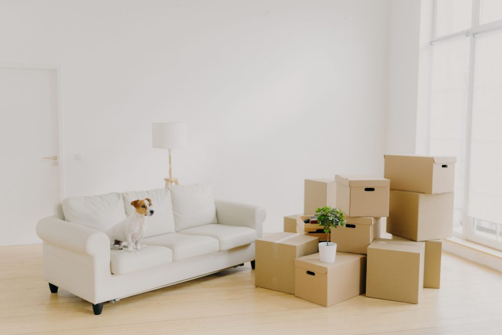 End of Lease Cleaning Services Kurraba Point