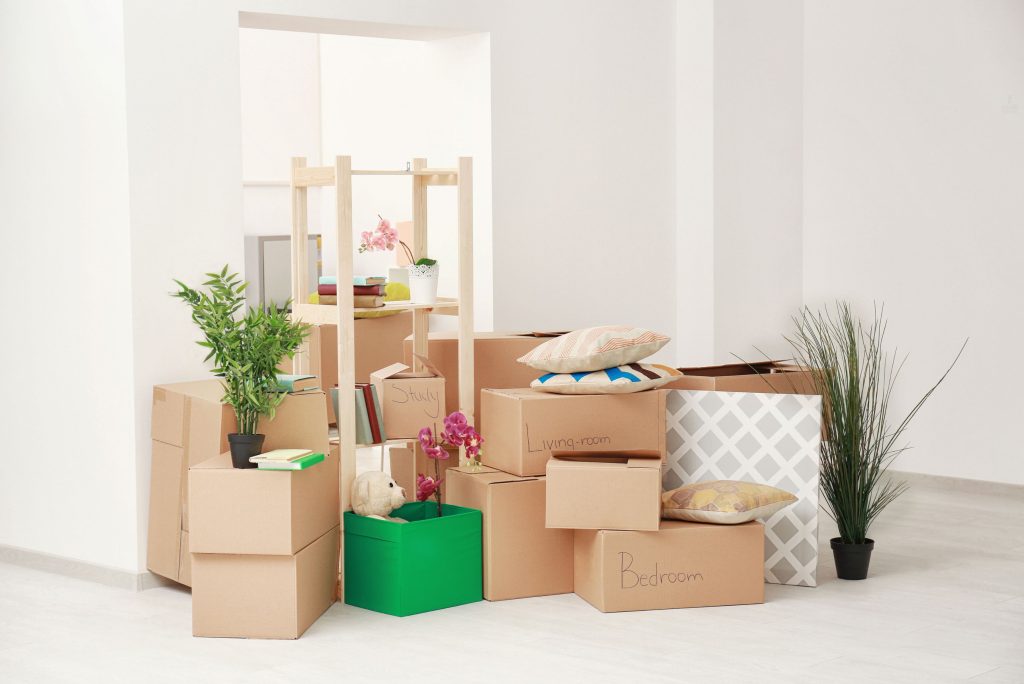 End of Lease Cleaning Services Rodd Point