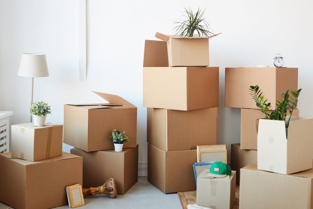End of Lease Cleaning Services Tamarama