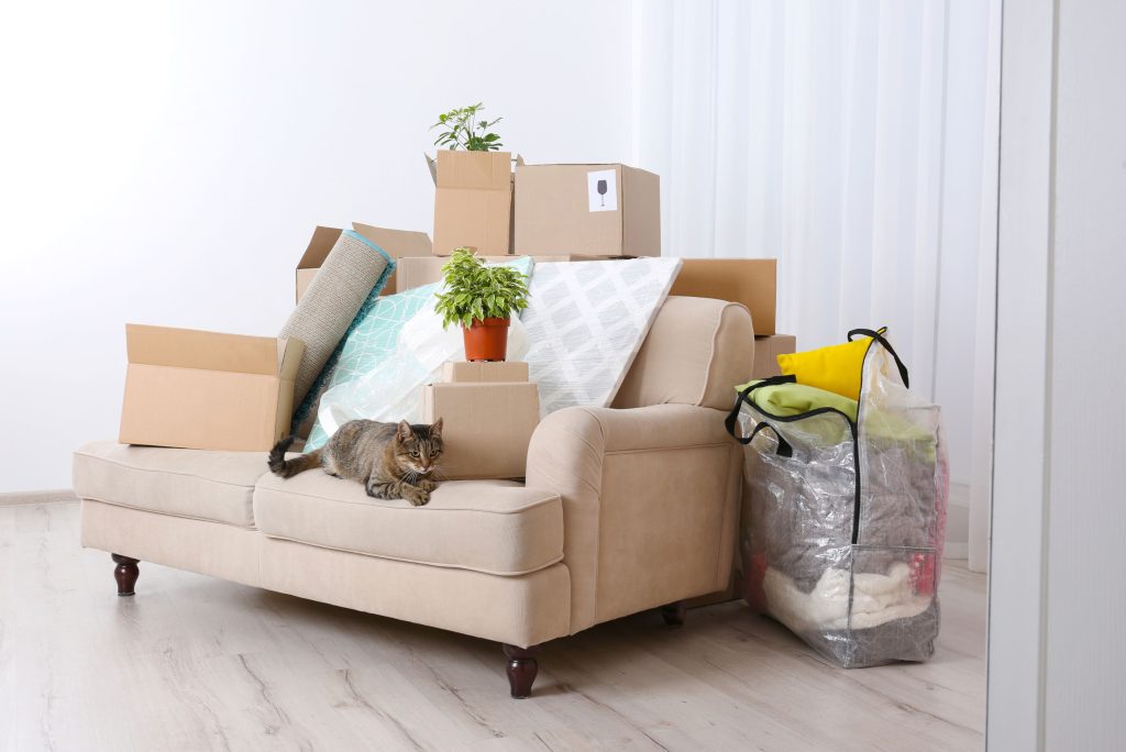 End of Lease Cleaning Services Waverton