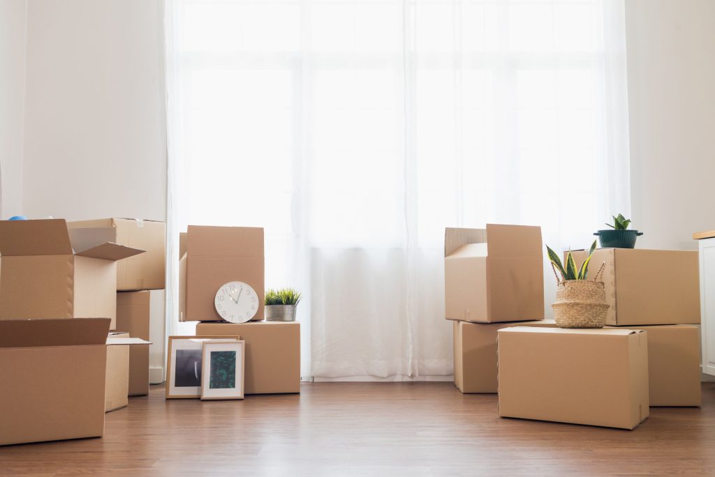 End of Lease Cleaning Services Willoughby East