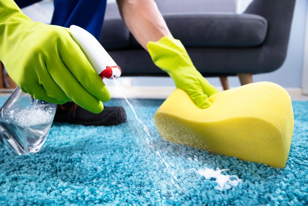 House Cleaners in Mortlake