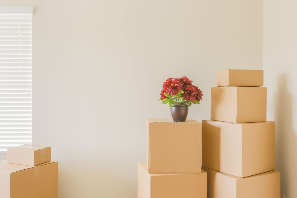 End of Lease Cleaning Services Chifley