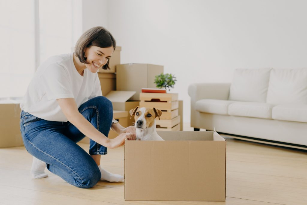 Move In Out Cleaning Daceyville