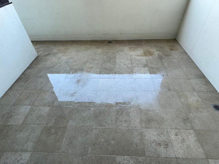 Our Previous Cleaning